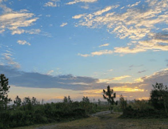 Community Image